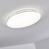 Genthin Lámpara de Techo LED Blanca, 1 luz, Mando a distancia