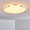 Genthin Lámpara de Techo LED Blanca, 1 luz, Mando a distancia
