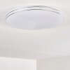 Genthin Lámpara de Techo LED Blanca, 1 luz, Mando a distancia