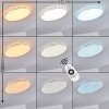 Genthin Lámpara de Techo LED Blanca, 1 luz, Mando a distancia