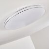 Genthin Lámpara de Techo LED Blanca, 1 luz, Mando a distancia