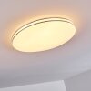 Genthin Lámpara de Techo LED Blanca, 1 luz, Mando a distancia
