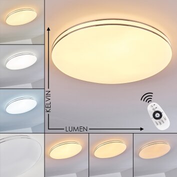 Genthin Lámpara de Techo LED Blanca, 1 luz, Mando a distancia