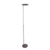 Steinhauer Zenith Lámpara de Pie LED Acero inoxidable, 1 luz