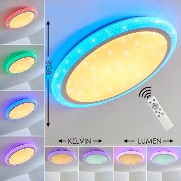 Lowell Lámpara de Techo LED Blanca, 2 luces, Mando a distancia, Cambia de color