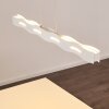 Nagold Lámpara Colgante LED Blanca, 1 luz