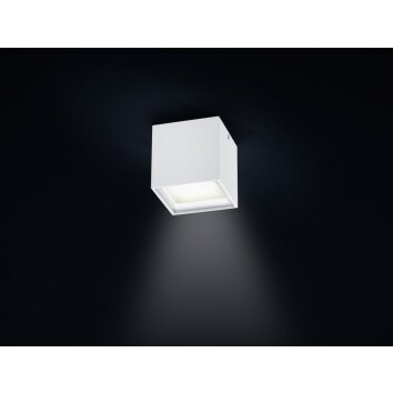 Helestra SIRI LED Lámpara de techo Blanca, 1 luz