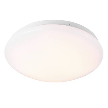 Nordlux MÃNI Lámpara de Techo LED Blanca, 1 luz