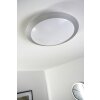 Trio 6265 Lámpara de techo LED Titanio, Blanca, 1 luz