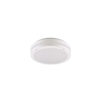 Reality KENDAL Lámpara de techo para exterior LED Blanca, 1 luz