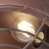 Brilliant Alvera Lámpara de Techo Color óxido, 4 luces