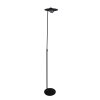 Steinhauer Zenith Lámpara de Pie LED Negro, 1 luz