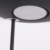 Steinhauer Zenith Lámpara de Pie LED Negro, 1 luz