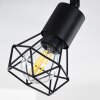 Baripada Lámpara de Techo Negro, 4 luces