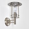 Mulo Aplique para exterior Acero inoxidable, 1 luz