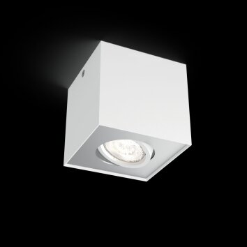 Philips Box Lámpara de Techo LED Blanca, 1 luz