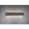 Aplique Trio Leuchten CONCHA LED Antracita, 2 luces