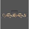Paul Neuhaus SELINA Lámpara de Techo LED Negro, 4 luces
