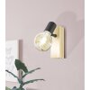 Lámparas Eglo TOWNSHEND Spot de pared Marrón, Negro, 1 luz