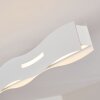 Nagold Lámpara de Techo LED Blanca, 1 luz