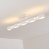 Nagold Lámpara de Techo LED Blanca, 1 luz