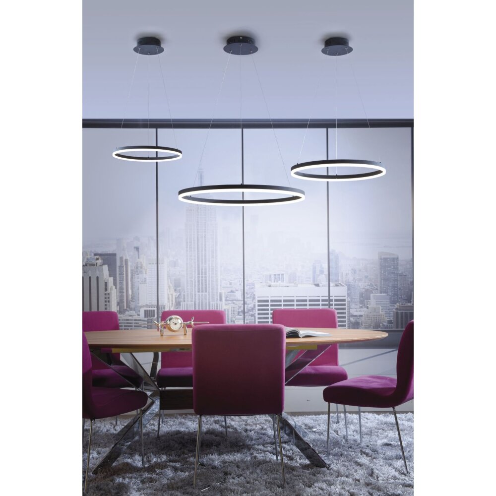 Paul Neuhaus TITUS Lámpara Colgante LED Antracita, 1 luz main product photo