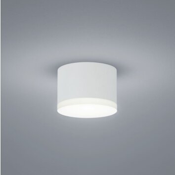 Helestra PALA Lámpara de techo LED Blanca, 1 luz