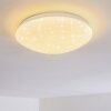 Norton Star Lámpara de Techo LED Blanca, 1 luz, Mando a distancia, Cambia de color