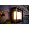 Philips Hue Ambiance White & Color Econic Aplique LED Negro, 1 luz, Cambia de color