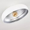 Guayo Lámpara de Techo Aluminio, 1 luz