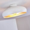 Guayo Lámpara de Techo Aluminio, 1 luz