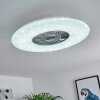 Petrovac Ventilador de techo LED Cromo, Blanca, 1 luz, Mando a distancia