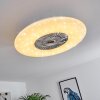 Petrovac Ventilador de techo LED Cromo, Blanca, 1 luz, Mando a distancia