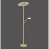 Paul Neuhaus ARTUR Lámpara de Pie LED Latón, 1 luz
