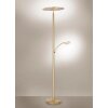 Paul Neuhaus ARTUR Lámpara de Pie LED Latón, 1 luz