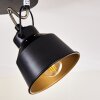 Lámpara de Techo Safari Negro, 3 luces
