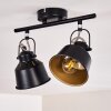 Safari Lámpara de Techo Negro, 2 luces