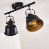 Safari Lámpara de Techo Negro, 2 luces