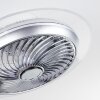 Tamworth Ventilador de techo LED Plata, Transparente, claro, 1 luz, Mando a distancia