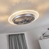 Tamworth Ventilador de techo LED Plata, Transparente, claro, 1 luz, Mando a distancia