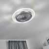 Tamworth Ventilador de techo LED Plata, Transparente, claro, 1 luz, Mando a distancia