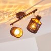 Liared Lámpara de Techo Negro, 2 luces