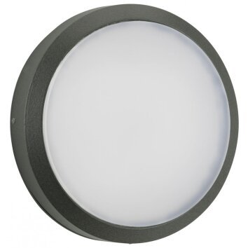 Albert 404 Aplique para exterior LED Antracita, 1 luz