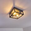 Kiwalik Lámpara de techo para exterior Antracita, 1 luz