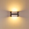 Aplique para exterior Kolding LED Acero inoxidable, Negro, 1 luz