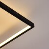Alnarp Lámpara de Techo LED Madera clara, Negro, 1 luz