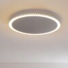 Aitrach Lámpara de Techo LED Plata, Blanca, 1 luz