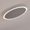 Aitrach Lámpara de Techo LED Plata, Blanca, 1 luz