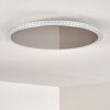 Aitrach Lámpara de Techo LED Plata, Blanca, 1 luz