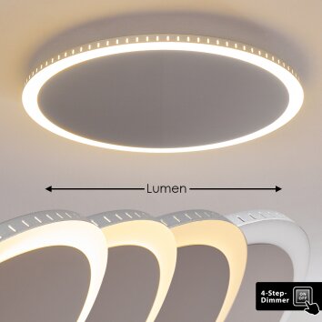 Aitrach Lámpara de Techo LED Plata, Blanca, 1 luz